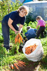 Similar image 2856788