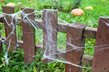 Similar image 2856822