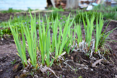 Similar image 2856833