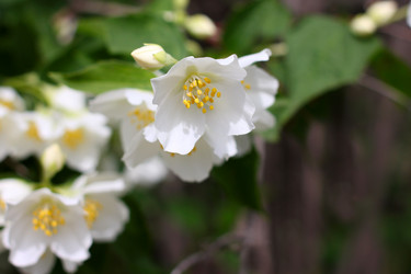 Similar image 2856903