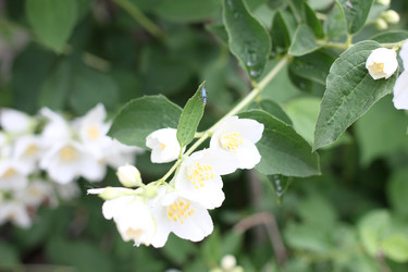 Similar image 2856905