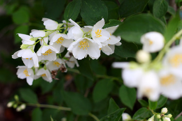 Similar image 2856906