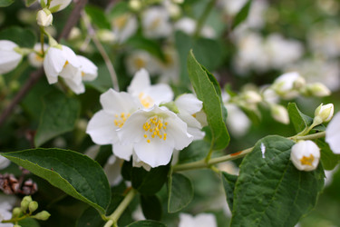 Similar image 2856907