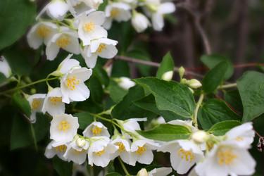 Similar image 2856908