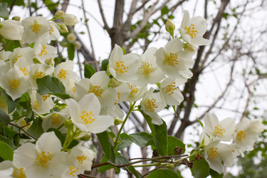 Similar image 2856909