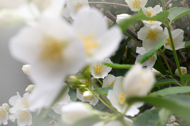 Similar image 2856920