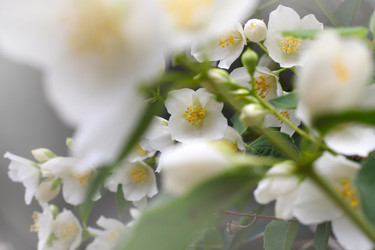 Similar image 2856921