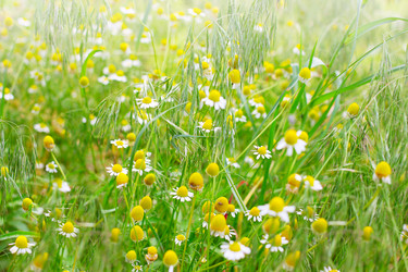 Similar image 2856922