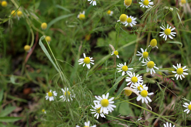 Similar image 2856924