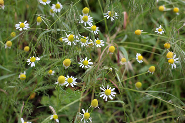 Similar image 2856925