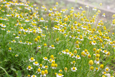 Similar image 2856928