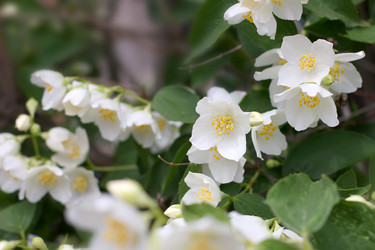 Similar image 2856929