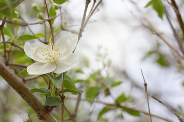 Similar image 2856930