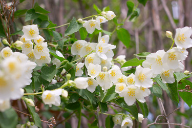 Similar image 2856931