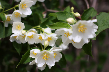 Similar image 2856933