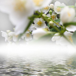 Similar image 2856934