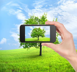 Similar image 2856962