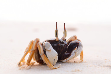 Similar image 2856990