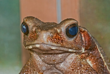 Similar image 2857061