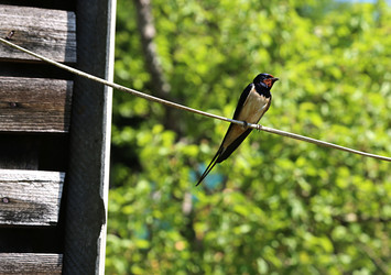 Similar image 2857370