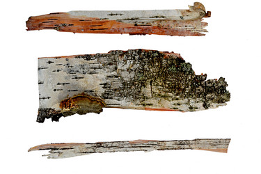 Similar image 2857380