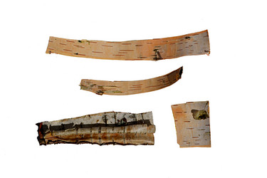 Similar image 2857386