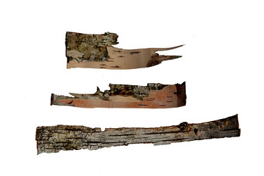 Similar image 2857388