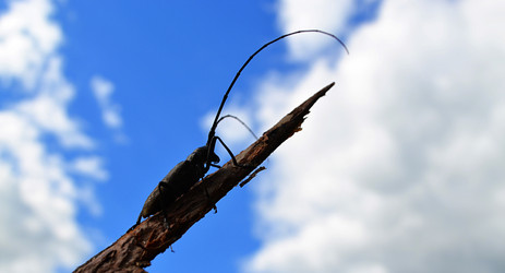 Similar image 2857391