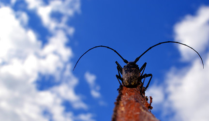 Similar image 2857394