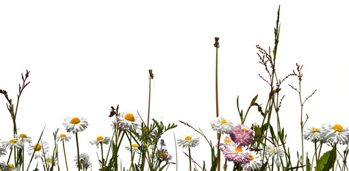 Similar image 2857418