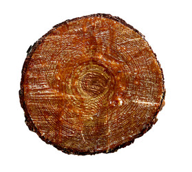 Similar image 2857419