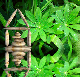 Similar image 2857467