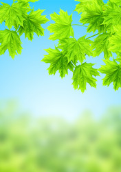 Similar image 2857500