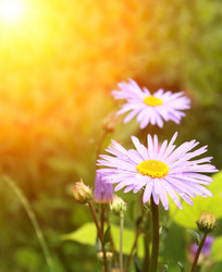 Similar image 2857501