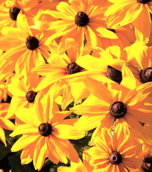 Similar image 2857510