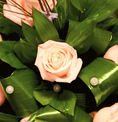 Similar image 2857518