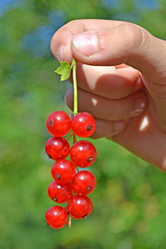 Similar image 2857541