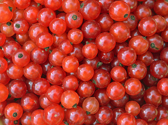 Similar image 2857580