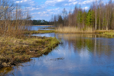 Similar image 2857619