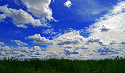 Similar image 2857656