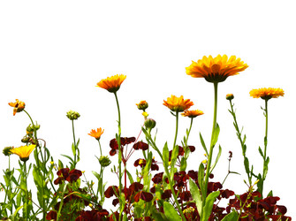 Similar image 2857659