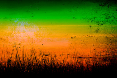 Similar image 2857662