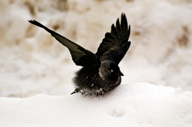 Similar image 2858714