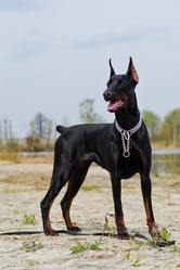 Similar image 2858716