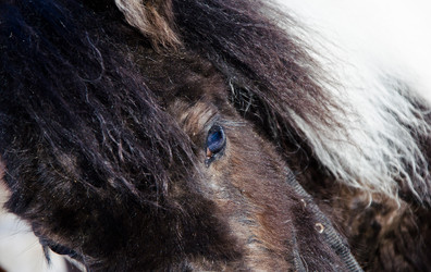 Similar image 2858718