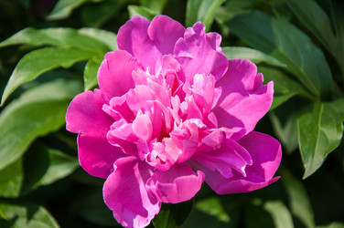 Similar image 2858815