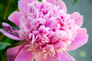 Similar image 2858818