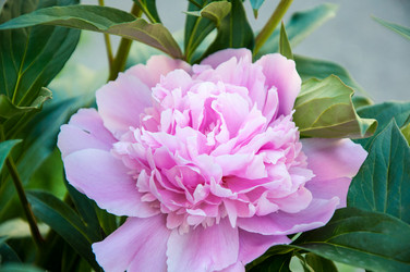 Similar image 2858820