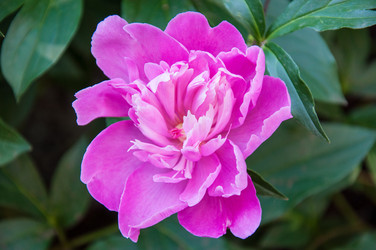 Similar image 2858823