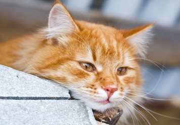 Similar image 2859668